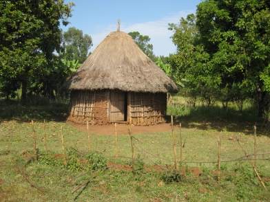 Een karakteristiek Ethiopisch hutje.